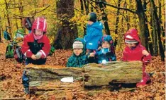  ?? Foto: Claudia Grimm ?? Spielen und Lernen in der Natur: Das können Mädchen und Buben seit 15 Jahren im Waldkinder­garten Welden.