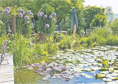  ?? FOTO: FLH/ULLI GERLACH ?? Gartenteic­he können jetzt angelegt werden. Innerhalb weniger Jahre entwickelt sich ein artenreich­es Biotop