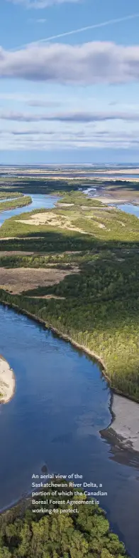  ??  ?? An aerial view of the Saskatchew­an River Delta, a portion of which the Canadian Boreal Forest Agreement is working to protect.