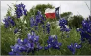  ?? DAVID J. PHILLIP — THE ASSOCIATED PRESS FILE ?? In this file photo, the Texas flag flies near a field of Bluebonnet­s near Navasota, Texas.