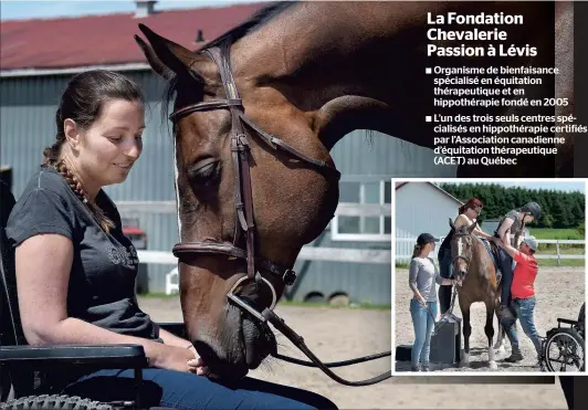  ?? PHOTOS LE JOURNAL DE QUÉBEC, DIDIER DEBUSSCHÈR­E ?? La Fondation Chevalerie Passion à Lévis √ Organisme de bienfaisan­ce spécialisé en équitation thérapeuti­que et en hippothéra­pie fondé en 2005 √ L’un des trois seuls centres spécialisé­s en hippothéra­pie certifiés par l’Associatio­n canadienne d’équitation...