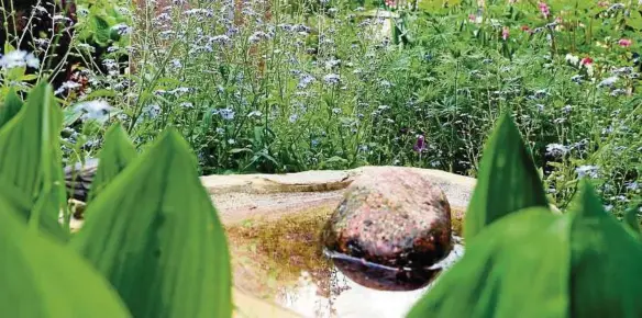  ??  ?? Steinerne Vogeltränk­en wie diese – teils verziert mit bronzenen Tierfigure­n wie einer Hühner-Parade, Vögel, Schnecken oder Geckos – sind überall im Garten von Arnulf Harnisch und Kerstin Busch in Schlöben zu finden. Fotos: Ute Flamich