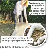  ??  ?? Positionin­g your coldframe in a sunny spot boosts your growing power
Keep safe from molluscs by adding organic pellets in base