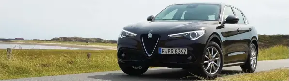  ??  ?? Ein Italiener im Norden: Der Alfa Romeo Stelvio auf der Insel Sylt, hier am „Ellenbogen“, dem nördlichst­en Punkt.