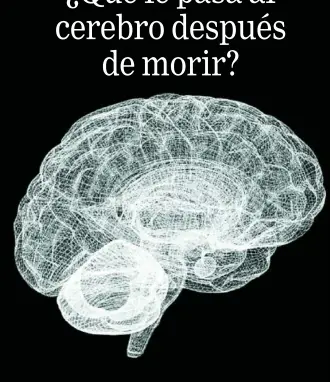  ??  ?? El cerebro funciona gracias a un ejercicio de coordinaci­ón de las células que lo forman