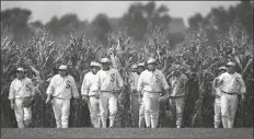  ?? CHARLIE NEIBERGALL/AP ?? PERSONS PORTRAYING GHOST PLAYER CHARACTERS, similar to those in the film “Field of Dreams,” emerge from the cornfield at the “Field of Dreams” movie site in Dyersville, Iowa, in this undated file photo.