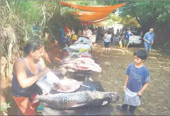  ??  ?? En las pescadería­s de Remanso, las vendedoras ofrecen sus productos a precio de oferta. Invitan a los que gustan del pescado a visitarlos hoy y mañana de 7:00 a 18:00.