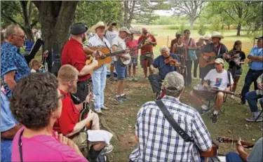  ?? ROXANNE RICHARDSON — FIDDLE FESTIVAL ?? Jamming at the 33rd annual Lyons Fiddle Festival at Lyons Park on Sept. 18.