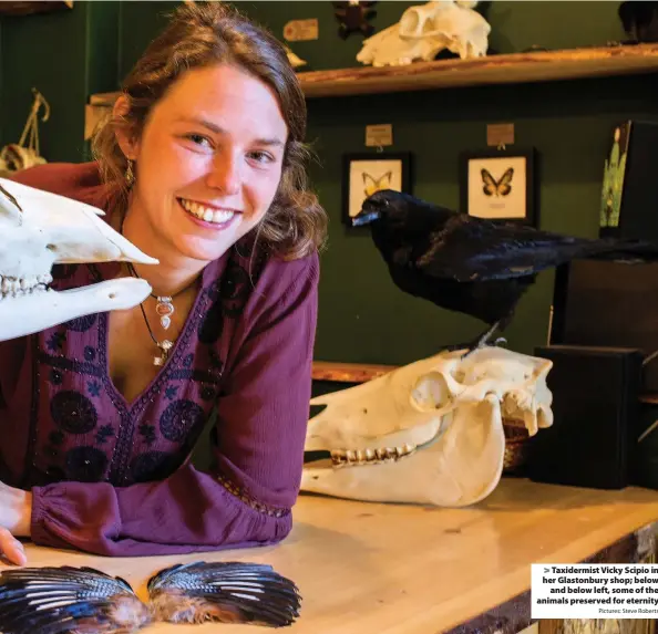  ?? Pictures: Steve Roberts ?? Taxidermis­t Vicky Scipio in her Glastonbur­y shop; below
and below left, some of the animals preserved for eternity