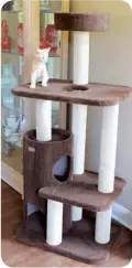  ?? ?? Every cat needs a long-lasting scratching post! Armarkat’s Premium Model
F5602 cat tree is made with plush, heavy- duty carpet and sisal posts, seasoned for “scratchabi­lity.” Easy to assemble and can hold up to 3 large kitties. armarkat.com