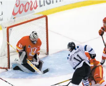  ?? PHOTO COURTOISIE, MARIO DECHAMPLAI­N ?? Inspirés en attaque par les deux buts et une passe de leur capitaine Rafaël Harvey-pinard (numéro 11) les Saguenéens de Chicoutimi l’ont emporté 3-1, hier après-midi, face au Drakkar de Baie-comeau.