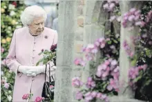  ?? GETTY IMAGES ?? The Queen looks at a display of roses at the Chelsea Flower Show in London. There’s a reason why she loves her gloves and Launer purse.