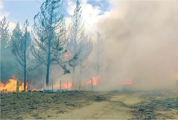  ?? NA ?? Los incendios en El Bolsón no están controlado­s y hay temor de que el calor empeore la situación.