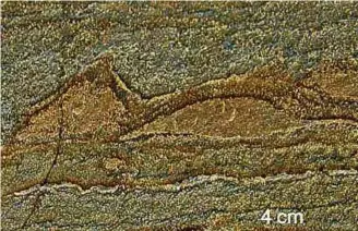  ?? NATURE ?? Vestígios. As rochas de 3,7 bilhões de anos têm marcas deixadas pela ação de micróbios