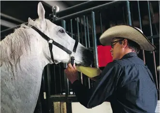  ??  ?? Chuckwagon driver Jamie Laboucane cools off one of his horses, Biz, in the chuck barns Thursday.
