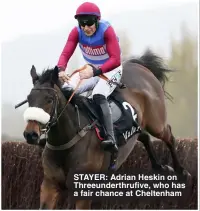  ?? ?? STAYER: Adrian Heskin on Threeunder­thrufive, who has a fair chance at Cheltenham