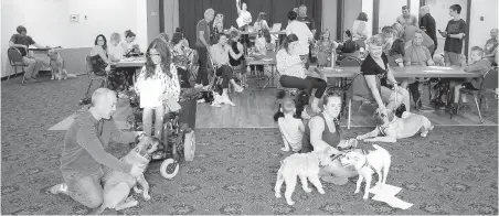  ??  ?? Starry-eyed dogs gather with their owners for a casting call in hopes of getting a part in a 20-episode Disney Channel series tentativel­y titled Puppy Prep Academy that’s being shot in Victoria this fall.