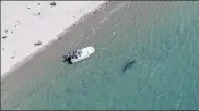  ?? AP FILE ?? A great white shark swims close to the Cape Cod shore in Chatham in 2016.