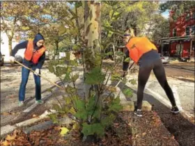  ?? EVAN BRANDT — DIGITAL FIRST MEDIA ?? Hill School students Rachel Schaaf, 17, and Calla Coothgenth­e, 15, rake leaves in Pottstown’s Evans Street parking lot Friday during PottstownC­ARES Day.