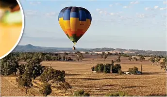  ?? ?? HAVING A BLAST: A hotair balloon over the Brown Brothers winery. Above: A glass of Dal Zotto