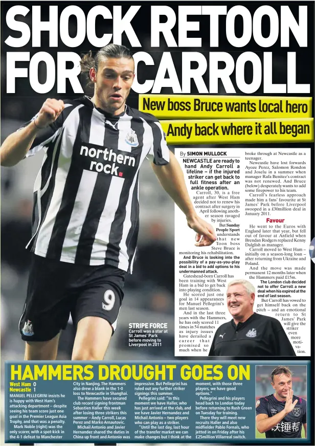  ??  ?? STRIPE FORCE Carroll was a star at St James’ Park before moving to Liverpool in 2011