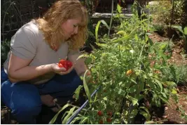  ?? SHERRY LAVARS — CONTRA COSTA TIMES ?? Learn how to grow food in a backyard or other small-scale setting at Fairfax Backyard Farmer's Spring Edible Garden Series.