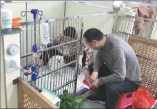  ?? CANG WEI / CHINA DAILY ?? The owners of a dog take care of their pet at the AMC Center Animal Hospital in Nanjing, Jiangsu province.