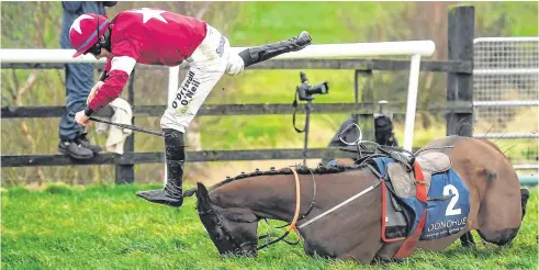  ??  ?? Jack Kennedy takes a tumble as Monatomic falls at the last during the novice chase at Punchestow­n