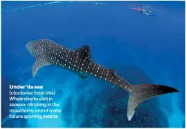  ??  ?? Under ‘da sea (clockwise from this) Whale sharks visit in season; climbing in the mountains; one of many future sporting events