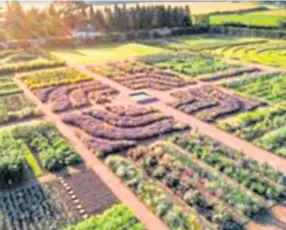  ??  ?? The glorious walled garden at Gordon Castle near Fochabers.