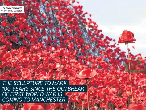  ??  ?? The sweeping arch of ceramic poppies