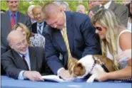  ?? ASSOCICATE­D PRESS FILE PHOTO ?? After getting the signature of Gov. Tom Wolf, left, Pennsylvan­ia’s animal cruelty bill gets a paw print by Libre, a Boston terrier puppy who was emaciated and diseased when he was rescued last year by a delivery truck driver from an animal breeder in...