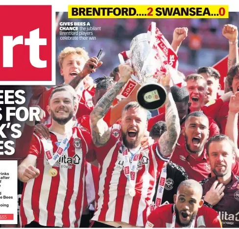  ??  ?? GIVES BEES A CHANCE the jubilant Brentford players celebrate their win