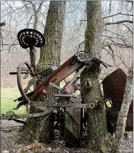  ?? MEGAN DAVIS/MCDONALD COUNTY PRESS ?? A tree has grown through an antique tractor along the east half of the trail’s loop. The equipment remains nearly completely intact.