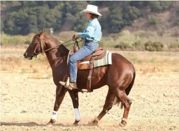  ??  ?? My horse is showing resistance: His head is raised, his neck braced, his feet slow. But he’s not refusing outright to back up, or threatenin­g to rear—those behaviors would indicate defiance.