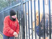  ?? NOUSHIN ZIAFATI • THE CHRONICLE HERALD ?? Halifax Lancers executive director Angie Holt is seen on Wednesday with Sadie, one of the 27 horses that will be out and about at designated times to spread joy this holiday season.