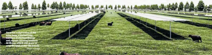  ?? Image / supplied ?? An artist's impression of the solar farm, a partnershi­p between Lodestone Energy and organic farming business S2 Group, which will graze or crop the land under the panels.