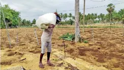  ?? ?? A farmer carrying a sack of fertiliser.