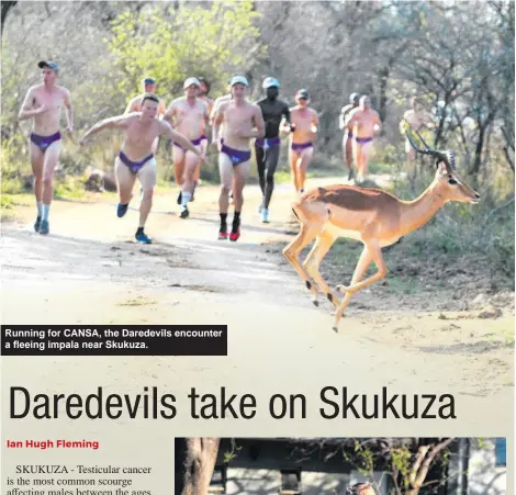  ?? ?? Running for CANSA, the Daredevils encounter a fleeing impala near Skukuza.