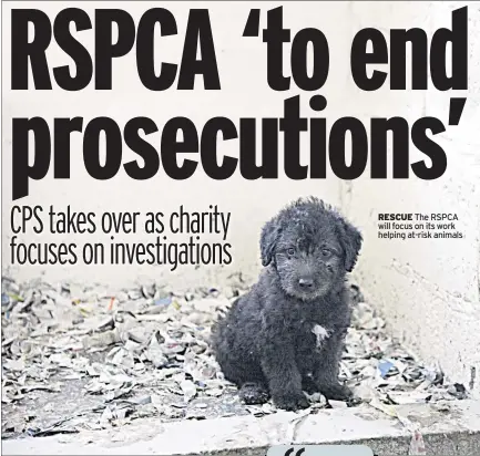  ??  ?? RESCUE The RSPCA will focus on its work helping at-risk animals