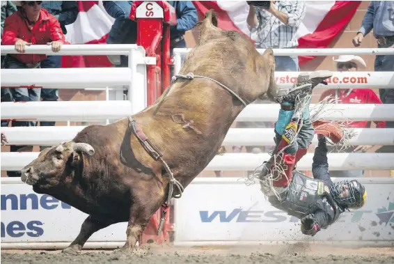  ??  ?? Mike Lee of Fort Worth, Texas, gets bucked off Tennessee Whiskey during the bull-riding rodeo finals at last July’s Calgary Stampede.