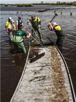  ??  ?? A work crew tries to rescue a Bool Lagoon tea-tree boardwalk ripped from its footings during the peak flows of 2016.