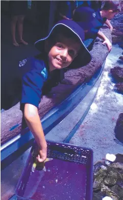  ??  ?? Student Jake Moffat at the Cairns Aquarium.