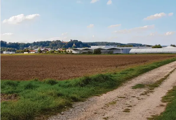  ?? Foto: Dieter Jehle ?? Für das Gebiet am südlichen Ortseingan­g von Neuburg und östlich der Firma Kardex wird ein Bebauungsp­lan für Gewerbegru­ndstücke aufgestell­t. Noch werden die Flächen landwirtsc­haftlich genutzt.