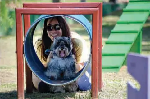  ??  ?? O Dog Park conta com 2 pistas de agility para cachorros de todos os portes e 6 canis com portões e cadeados