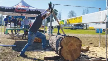  ??  ?? Alan Precup demonstrat­es how to use a “cant hook” to move a log on the final day of the Colusa Farm Show at the Colusa County Fairground­s.