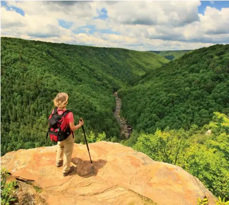  ??  ?? At Pendleton Point in Blackwater Falls State Park, a hiker admires the view of the river below.