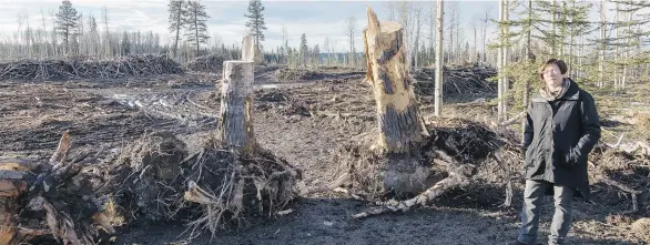  ?? CHRIS HARRIS ?? Rita Giesbrecht, Green party candidate for the Cariboo-Chilcotin, says area residents have had enough of massive and continuing clearcuts in the region.