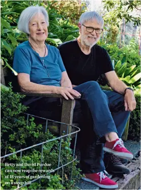  ??  ?? Betty and David Purdue can now reap the rewards of 18 years of gardening on a steep hill.