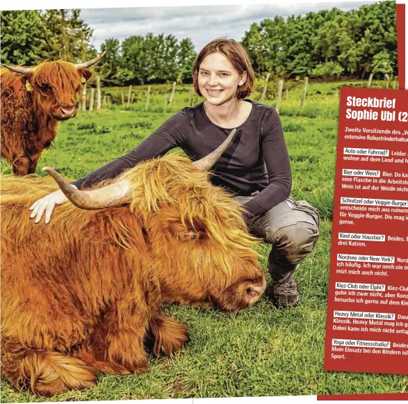  ?? ?? Versteht, was die mächtigen Tiere wollen: Sophie Ubl (28) mit Schottisch­en Hochlandri­ndern auf der Weide in Klein Nordende